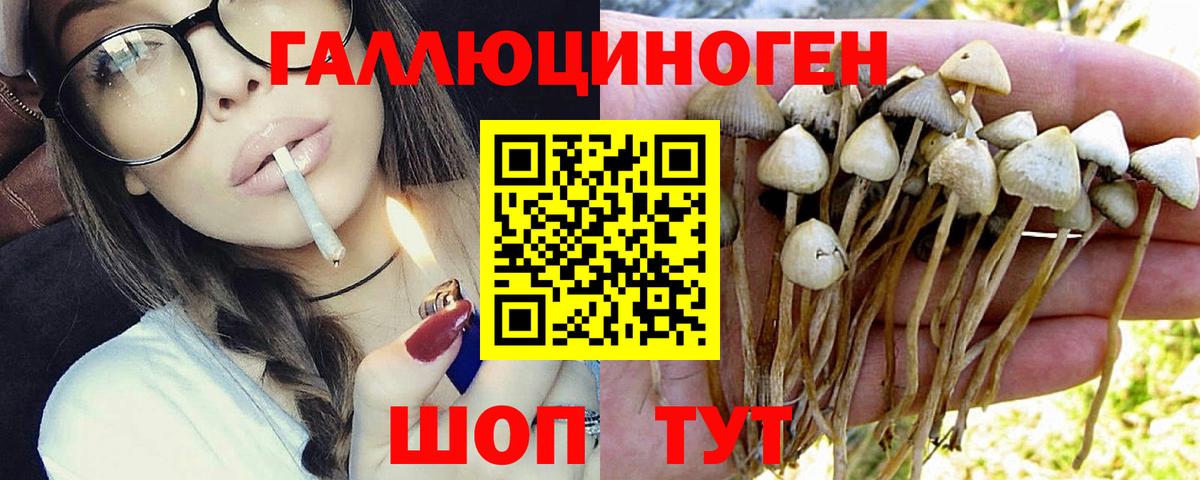 Галлюциногенные грибы MAGIC MUSHROOMS Свободный