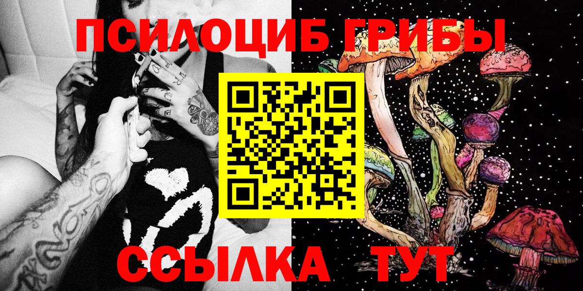 Галлюциногенные грибы Psilocybe  Вход с VPN  Свободный 